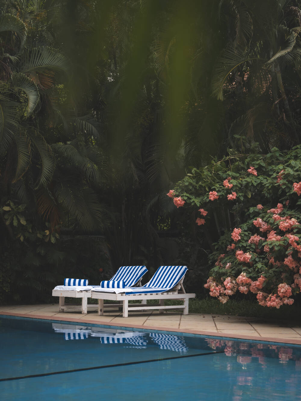 Sea Mist Resort pool and garden